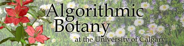 Algorithmic Botany at the University of Calgary