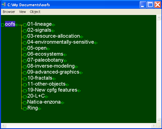 Initial browser window