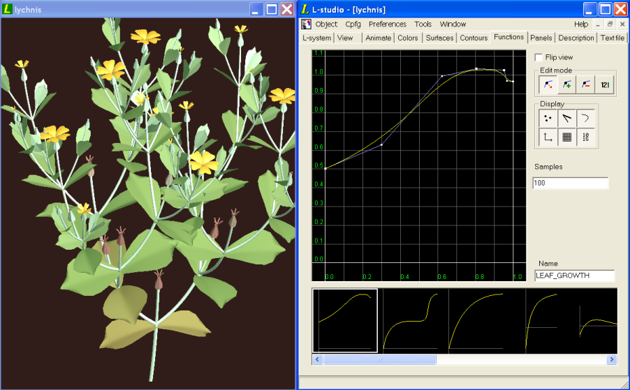 Lychnis model with changed function