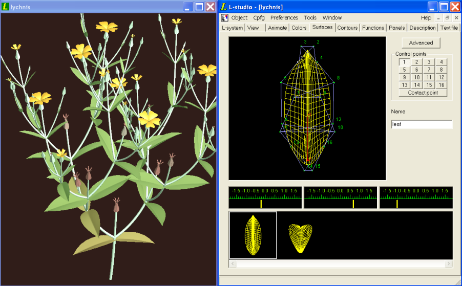 Surface editor in Lychnis model