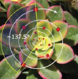 Image from the paper