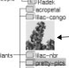 Image from the thesis