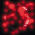 Image from the paper