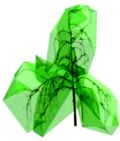 Image from the paper