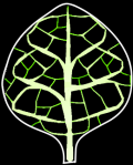 Image from the thesis